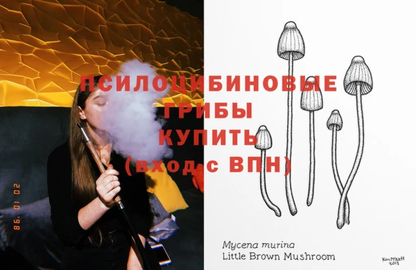 соль ск Абдулино