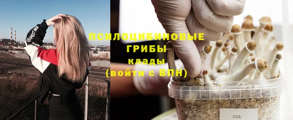 соль ск Абдулино
