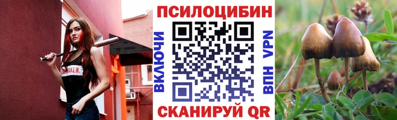 Галлюциногенные грибы Magic Shrooms  Таштагол 